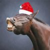 Christmas Horse Paint By Numbers