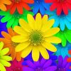 Colorful Daisy Paint By Numbers