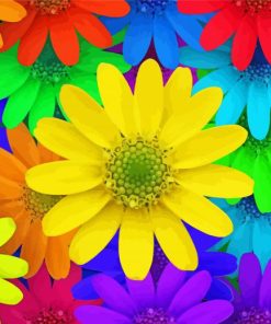 Colorful Daisy Paint By Numbers