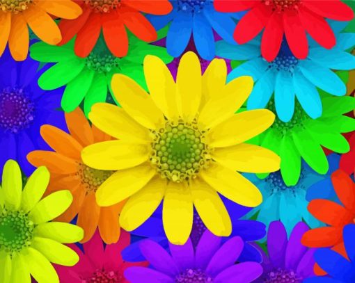 Colorful Daisy Paint By Numbers