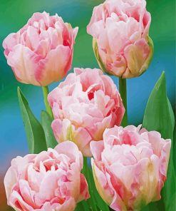 Pink Peony Tulip Flowers Paint By Numbers