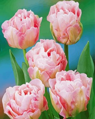 Pink Peony Tulip Flowers Paint By Numbers