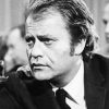 Vic Morrow Paint By Numbers