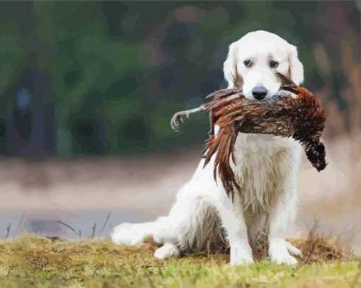 Cute Pheasant Hunting Dog Paint By Numbers