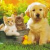 Tabby Cats And Golden Spaniel Puppy Paint By Numbers