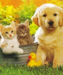 Tabby Cats And Golden Spaniel Puppy Paint By Numbers