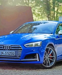 Blue Audi S5 Paint By Numbers