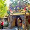 Critter Country California Paint By Numbers