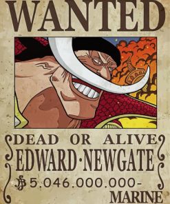 Edward Newgate One Piece Wanted Paint By Numbers