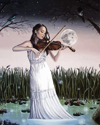 Girl Playing Violin In Moonlight Paint By Numbers