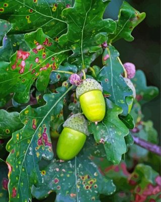 Green Leaves And Acorns Paint By Numbers