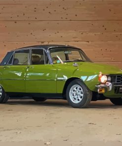 The Rover P6 Car Paint By Numbers