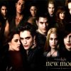 The Twilight New Moon Film Characters Paint By Numbers