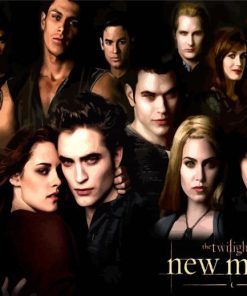 The Twilight New Moon Film Characters Paint By Numbers