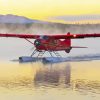 The De Havilland Canada DHC2 Beaver Airplane Paint By Numbers