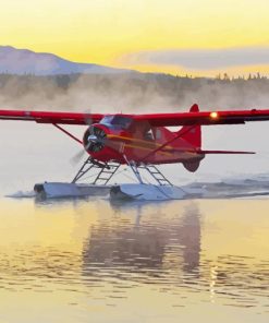 The De Havilland Canada DHC2 Beaver Airplane Paint By Numbers