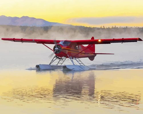 The De Havilland Canada DHC2 Beaver Airplane Paint By Numbers