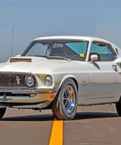 White 1969 Ford Mustang Fastback Car Paint By Numbers