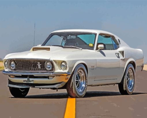 White 1969 Ford Mustang Fastback Car Paint By Numbers