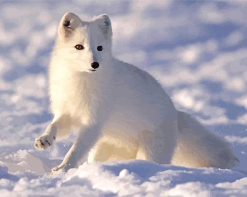 Aesthetic Polar Fox Animal Paint By Numbers