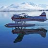 De Havilland Canada DHC2 Beaver Airplane Water Reflection Paint By Numbers