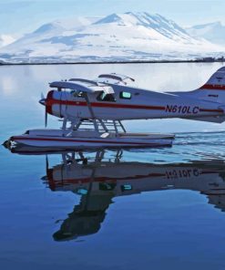 De Havilland Canada DHC2 Beaver Airplane Water Reflection Paint By Numbers