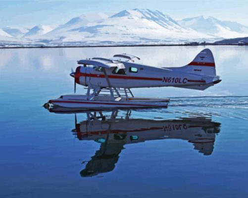 De Havilland Canada DHC2 Beaver Airplane Water Reflection Paint By Numbers