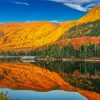 New England In The Fall Landscape Reflection Paint By Numbers