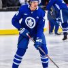 The Hockey Player Auston Matthews Paint By Numbers