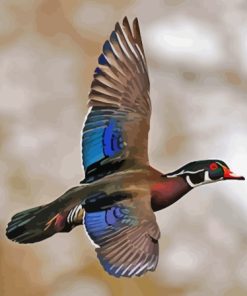 Flying Wood Duck Paint By Number