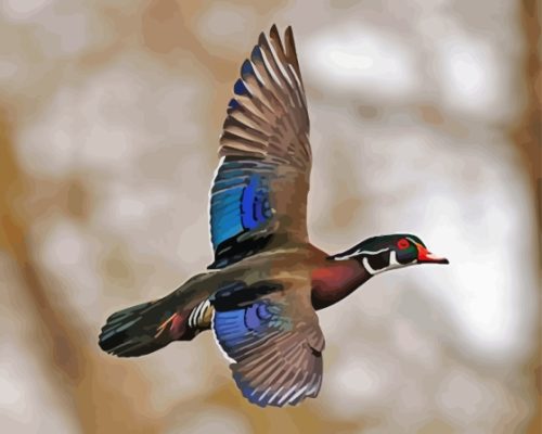 Flying Wood Duck Paint By Number