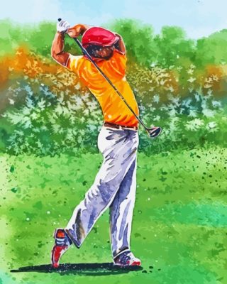 Abstract Golf Player Paint By Number