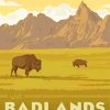 Badlands Paint By Number