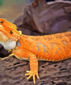 Bearded Dragon Lizard Paint By Number