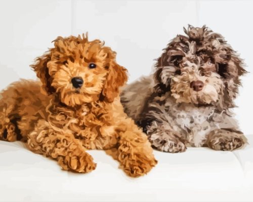 Beige And Brown Cockapoo Paint By Number
