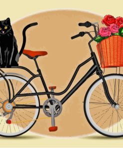 Black Cat On Bike Paint By Number