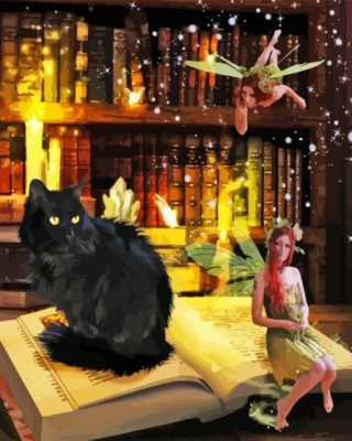 Black Cat And Fairy Paint By Number