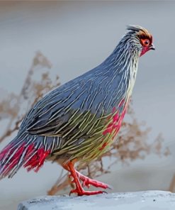 Blood Pheasant Paint By Number