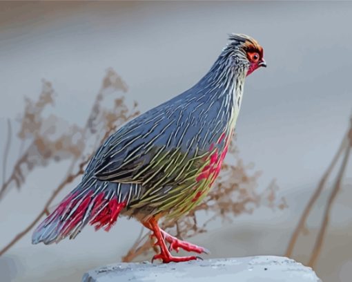 Blood Pheasant Paint By Number