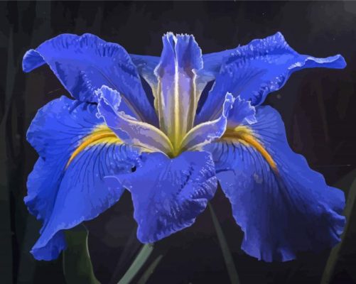 Bloom Blue Irises Rose Paint By Number