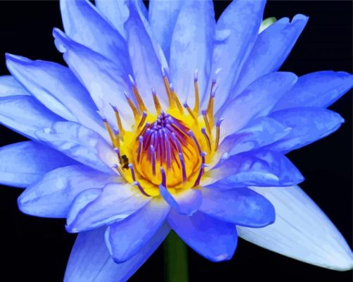 Blue Water Lily Paint By Number