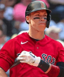 Boston Red Sox Player Paint By Numbers