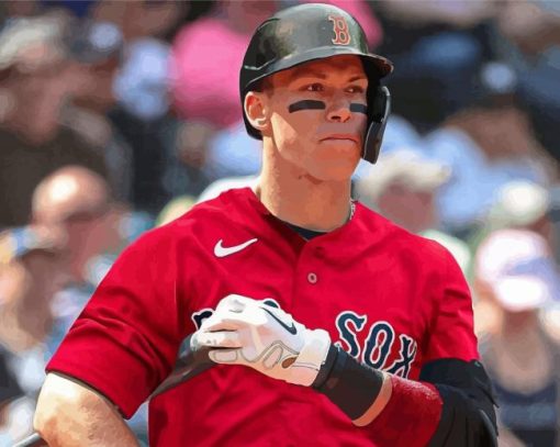 Boston Red Sox Player Paint By Numbers