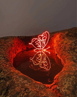 Butterfly And Red Light Paint By Number