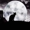 Cat And Moon Paint By Numbers