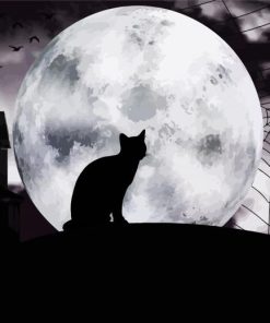 Cat And Moon Paint By Numbers