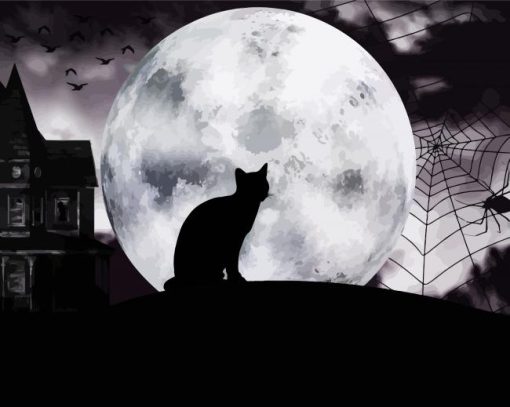 Cat And Moon Paint By Numbers