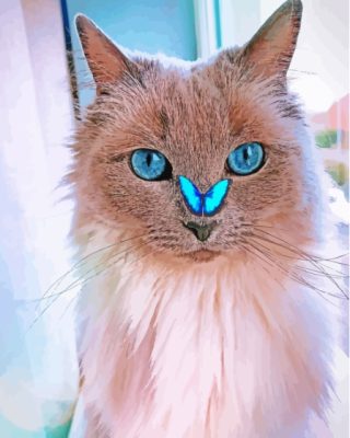 Cat With Butterfly Paint By Number