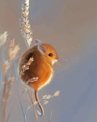 Cute Field Mouse Art Paint By Numbers