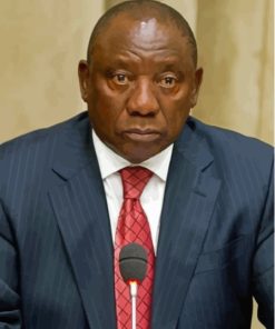 Cyril Ramaphosa Paint By Number